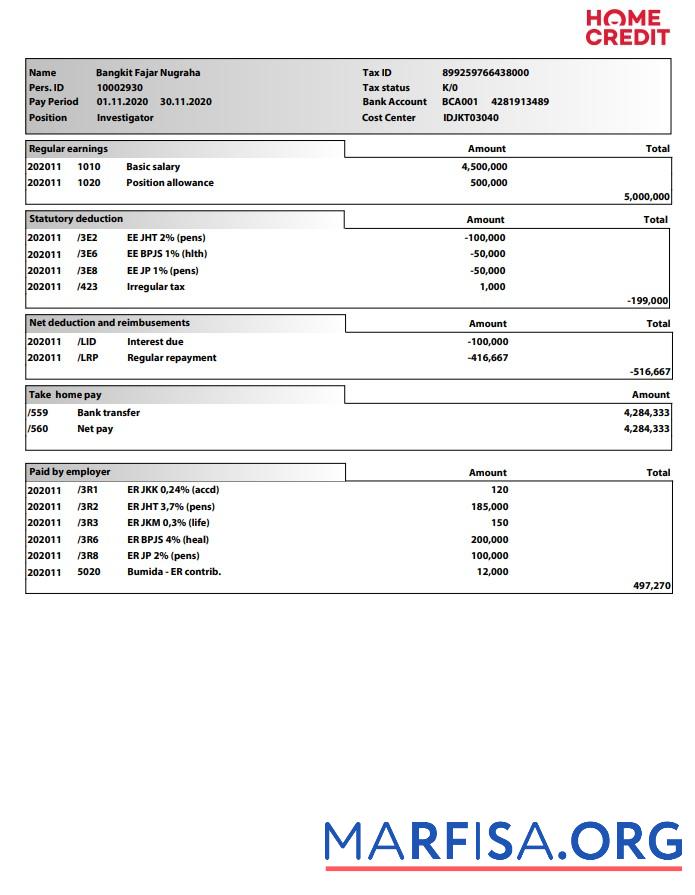 Blank Home Credit Paystub real example